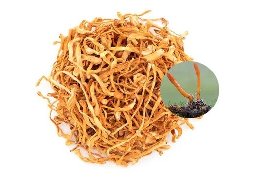 SugaNorm-ek cordyceps dauka